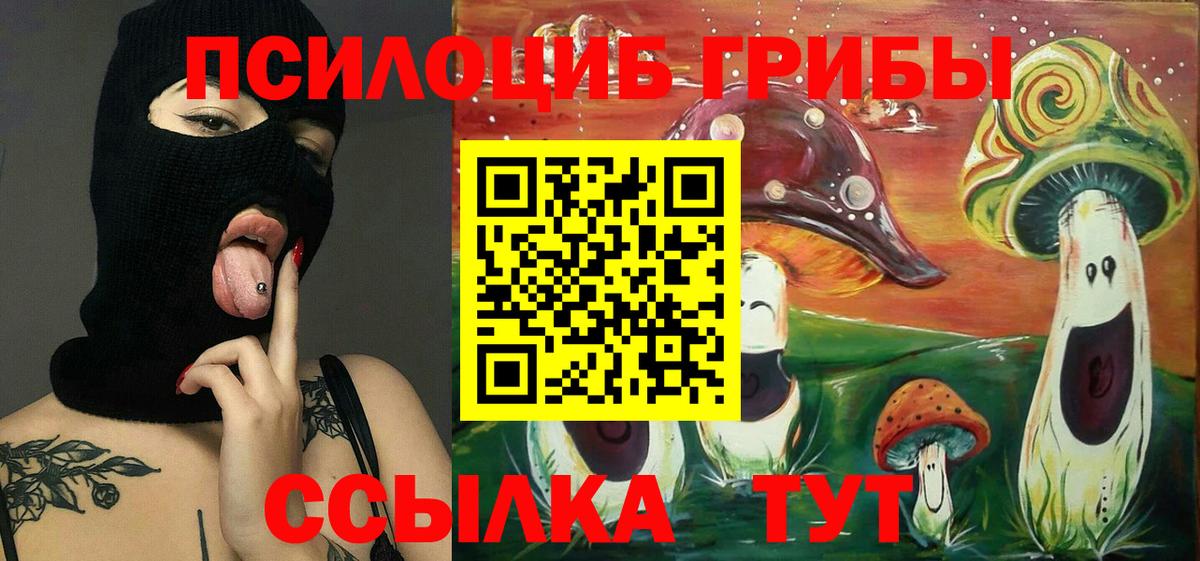Барнаул  Псилоцибиновые грибы Cubensis  Вход с VPN 